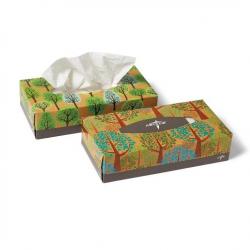 Kleenex Box Small 2 Ply