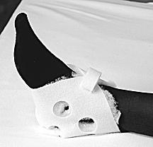 PROTECTOR HEEL PAIR